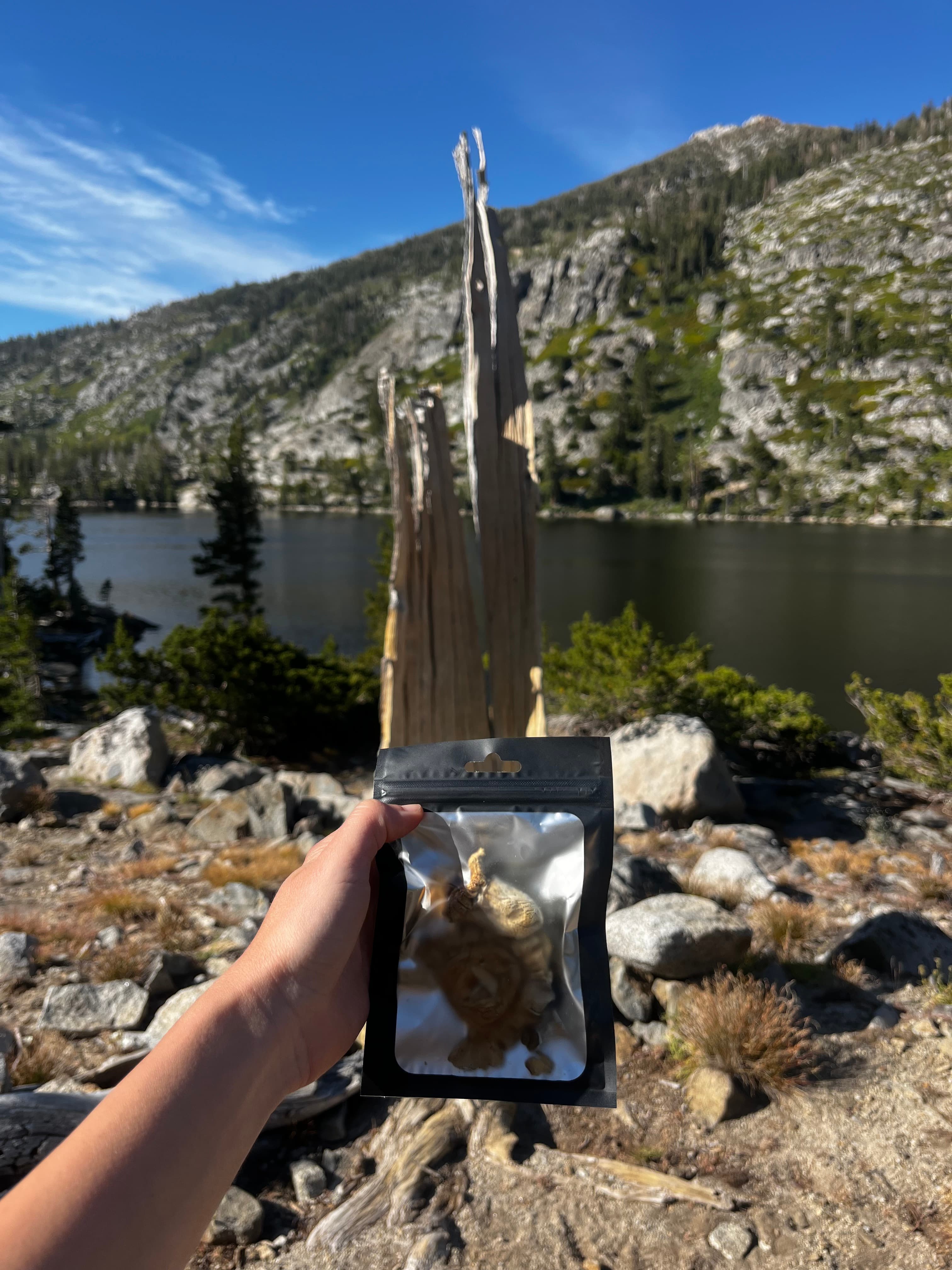 A hand holding a pouch of LUNA dried mushrooms above an alpine lake in the Sierra