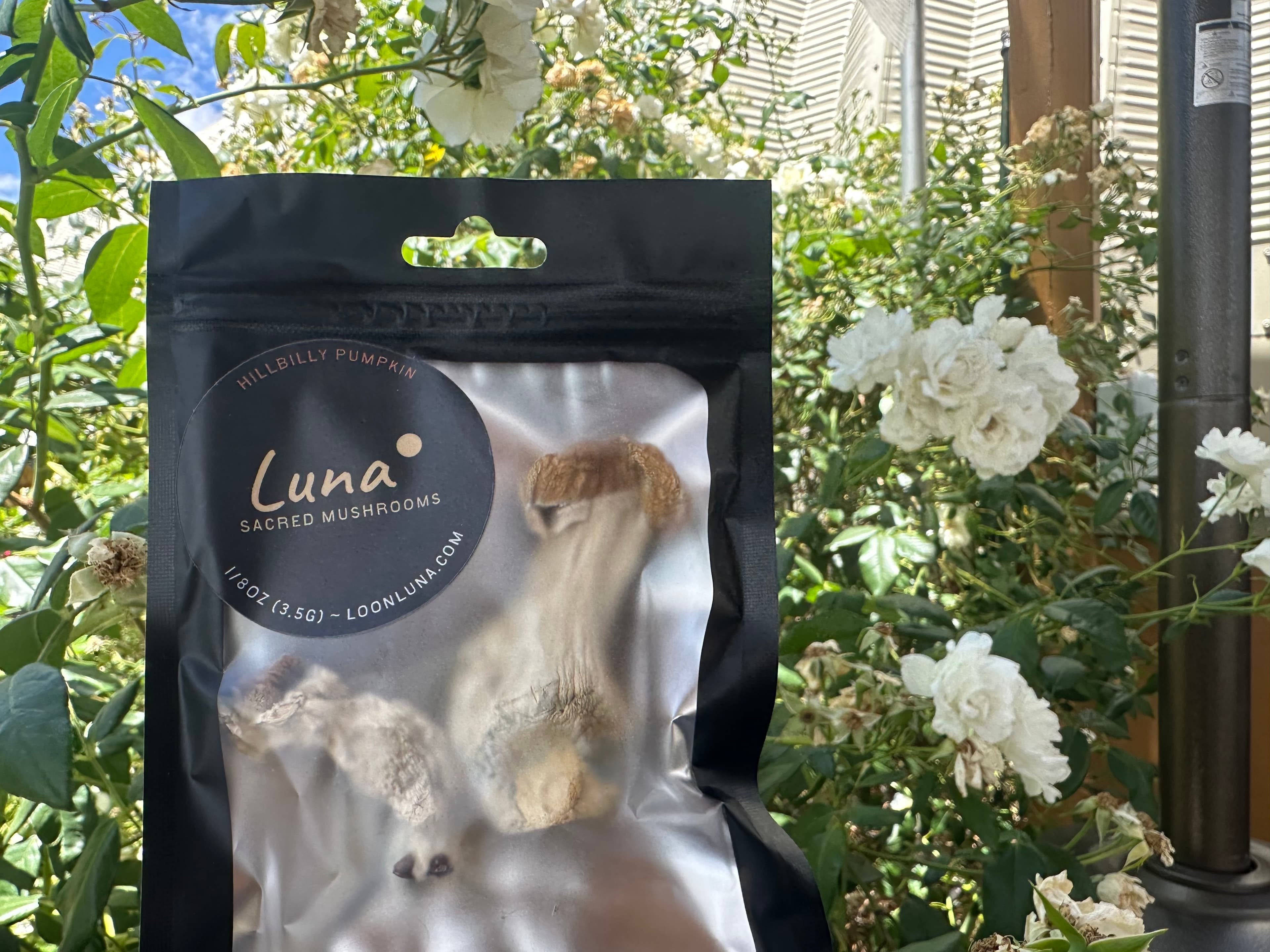 Dried Mushrooms product photo