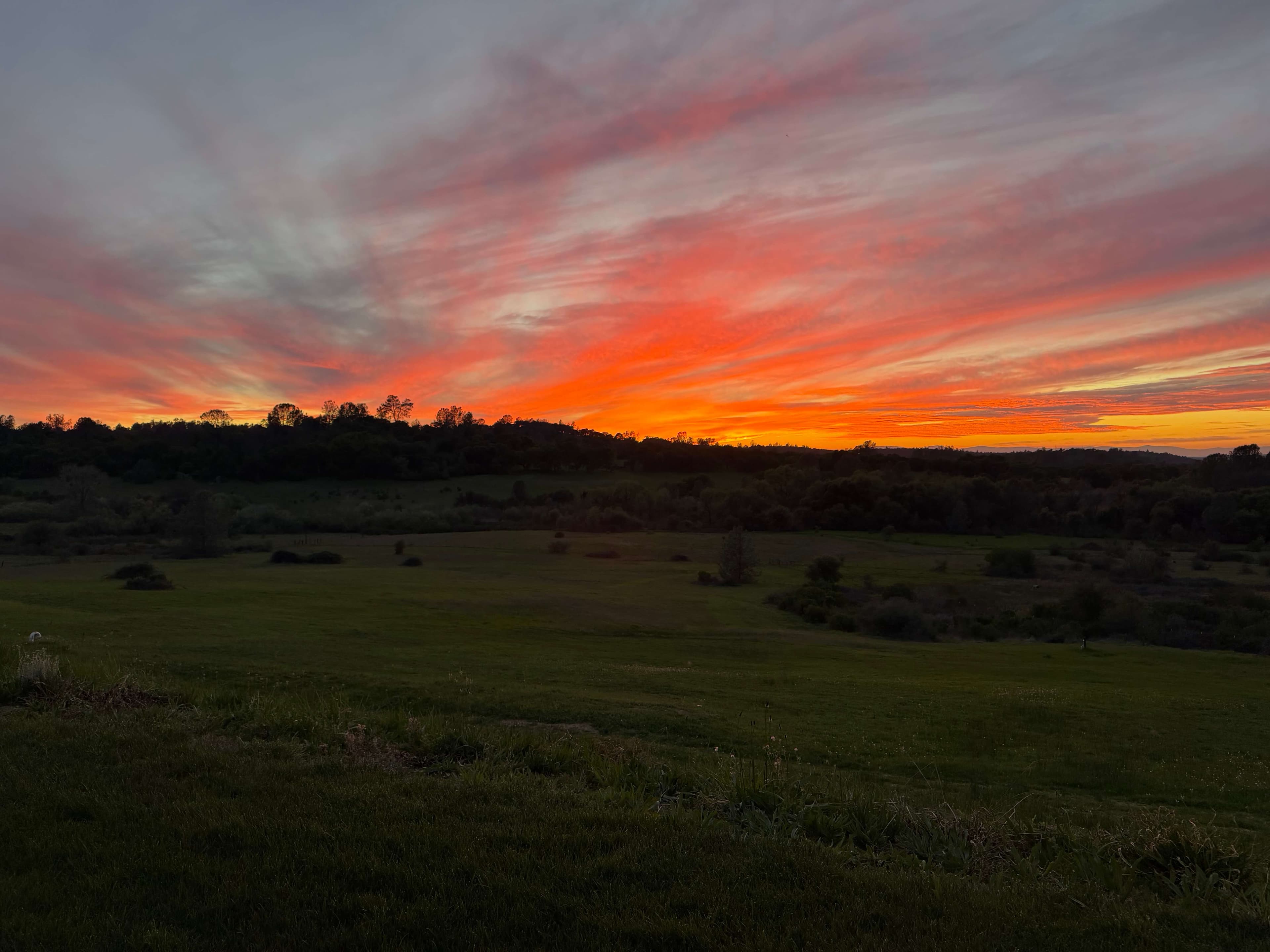 Golden light over the farm in the Sierra Foothills